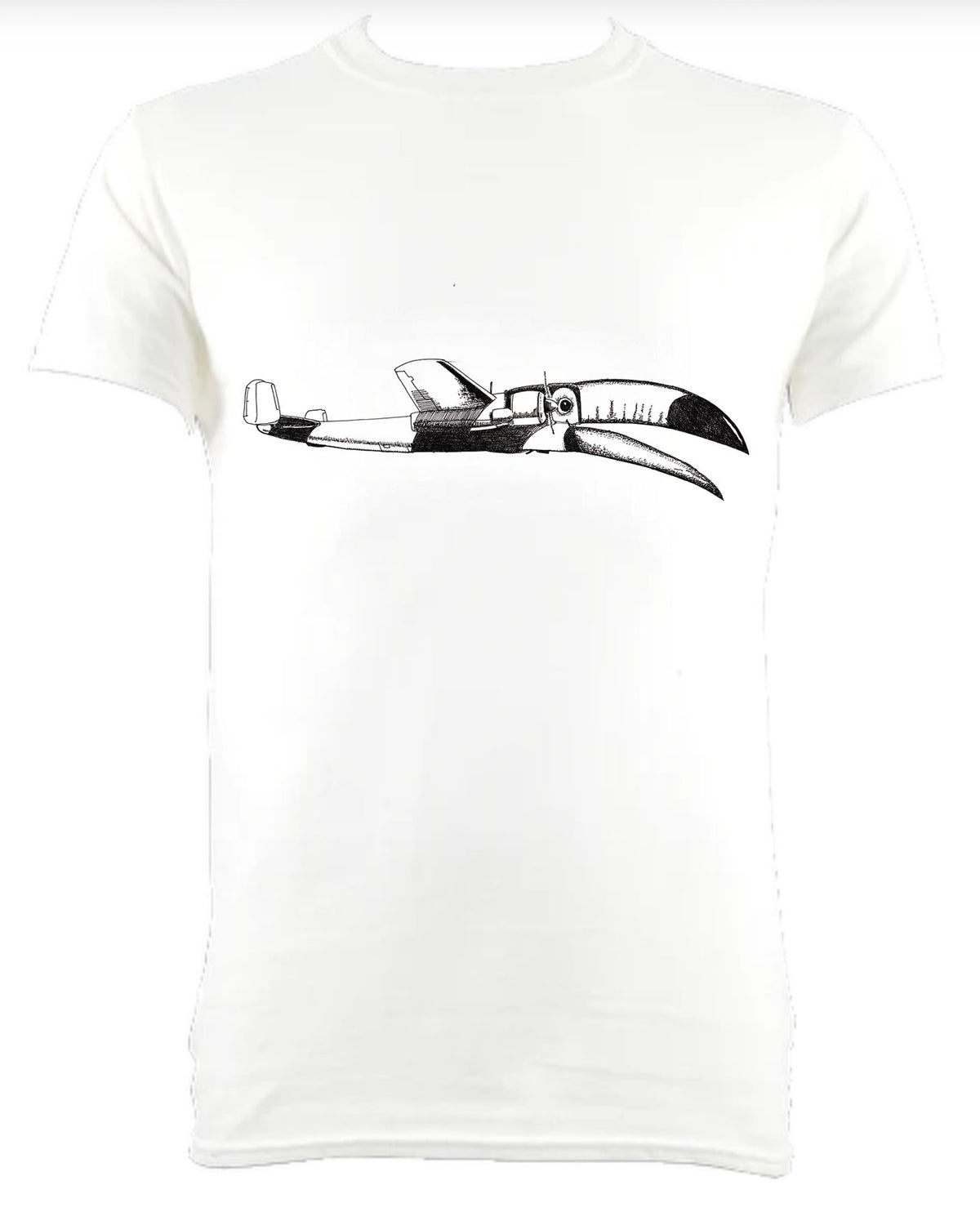 The Toucan Aeroplane