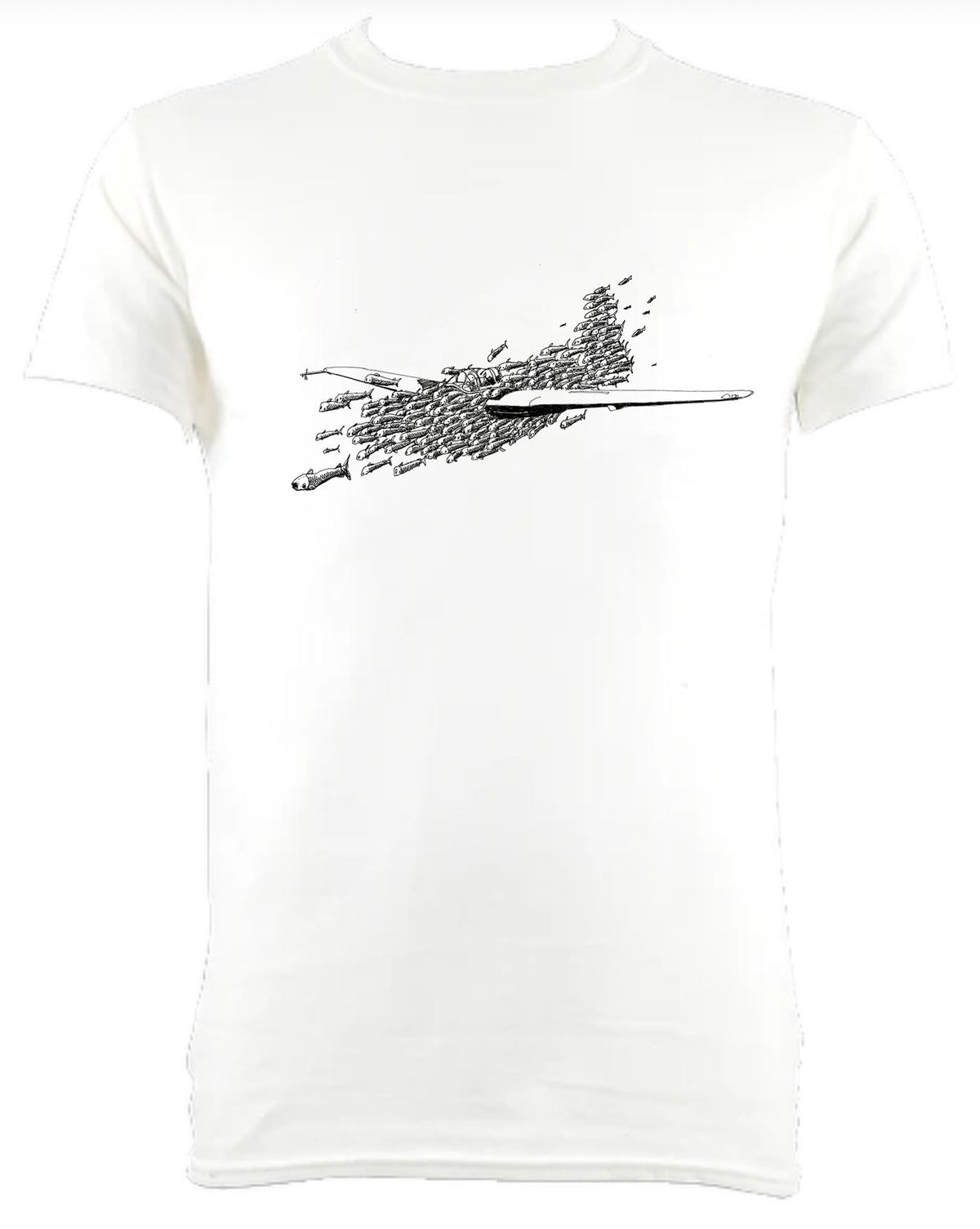 The Shoal Plane