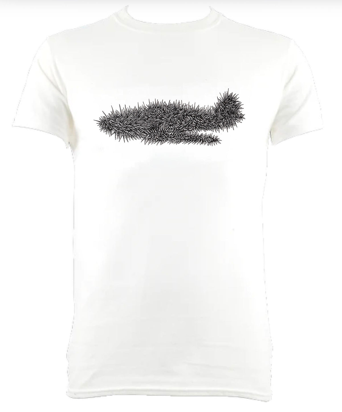 Porcupine Aeroplane