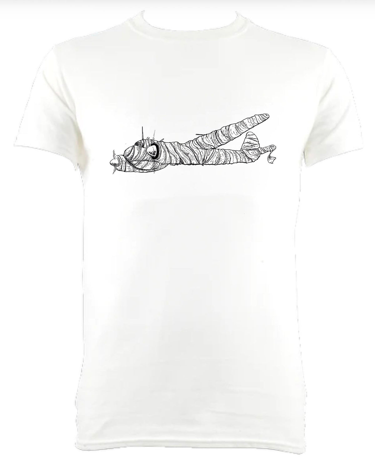 Mummy Aeroplane