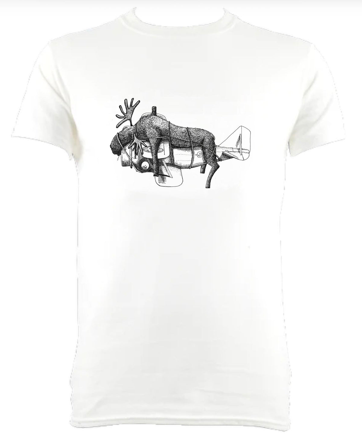 Moose Aeroplane
