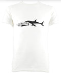 Great White Shark Eating An Aeroplane