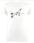 Arrow Hit Aeroplane